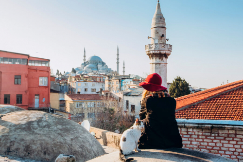 Минтуризма Турции сделало вход в мечеть Айя-София в Стамбуле платным