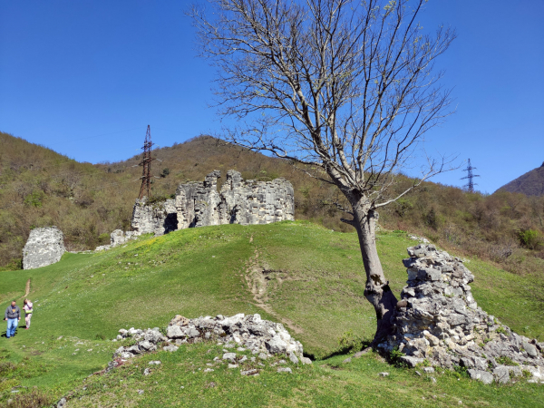 Абхазия за 1 день: экскурсия на озеро Рица