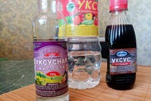 Чем полезен яблочный уксус для желающих похудеть: мнение диетолога