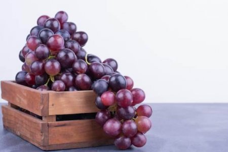 Врач Агапкин назвал самый полезный сорт винограда