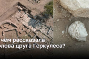 О чём рассказала голова друга Геркулеса?