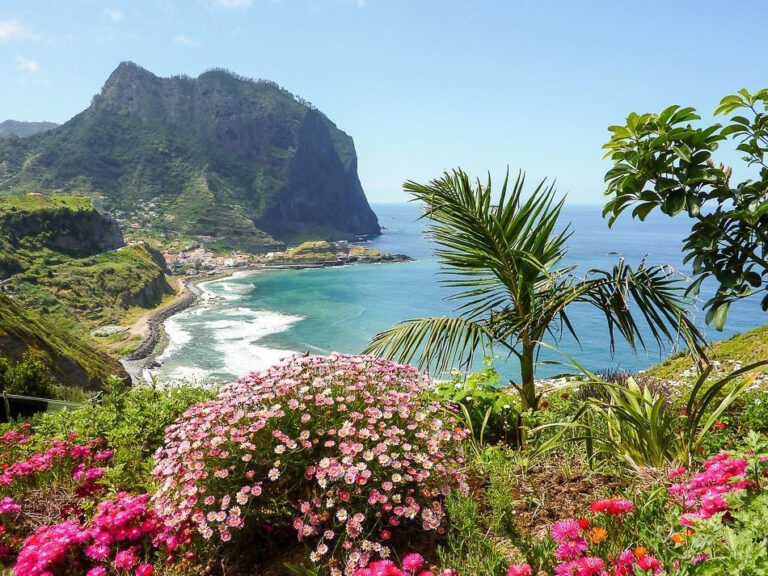 «Остров цветов» – Мадейра