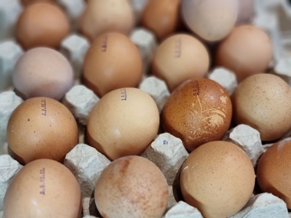 Почему надо есть яйца: названы 4 причины