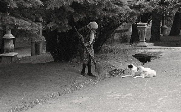 Повседневная жизнь в советской Грузии 1976 года в фотографиях шведского фотографа