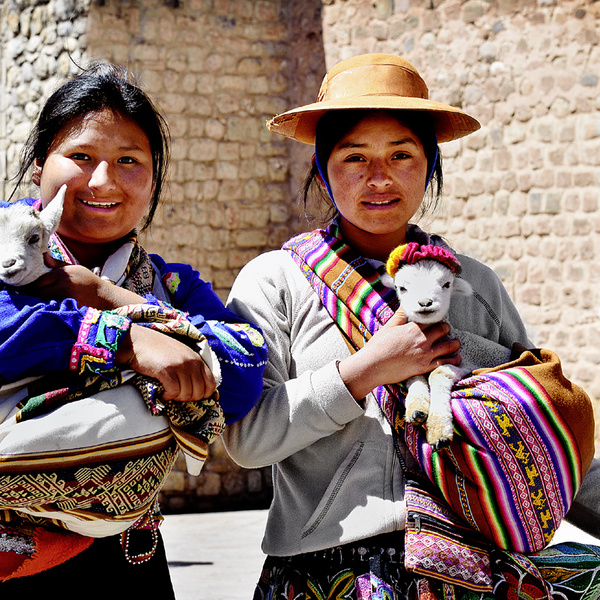Священный верблюд инков: как пушистые жители Анд выручают перуанцев во всем