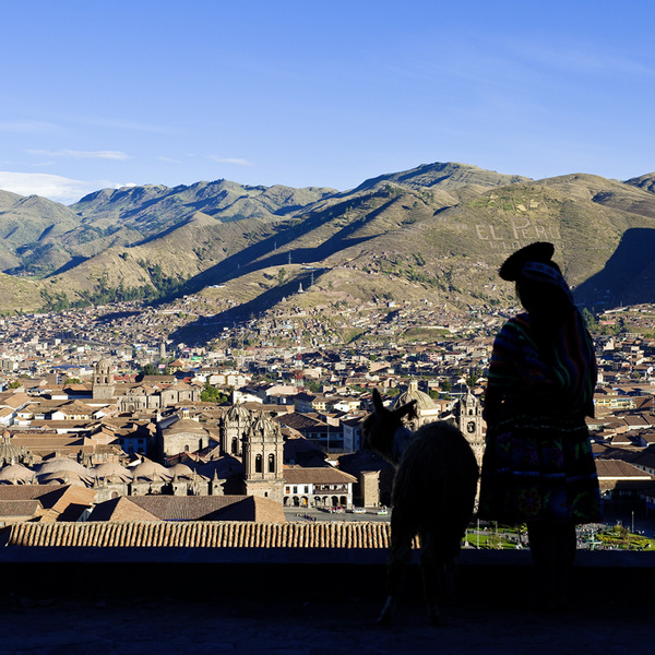 Священный верблюд инков: как пушистые жители Анд выручают перуанцев во всем