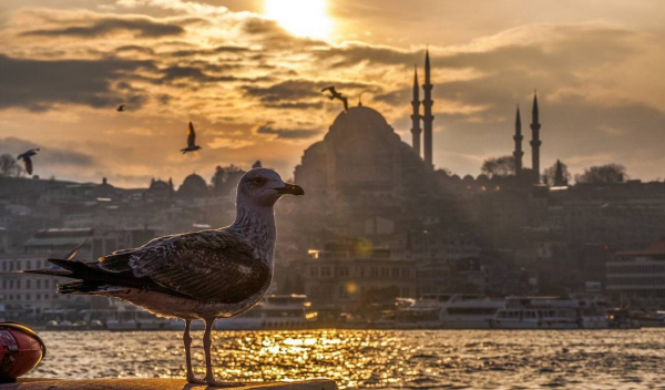 Турция в декабре: теплое прощание с уходящим годом